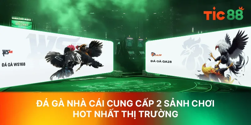 Đá gà nhà cái cung cấp 2 sảnh chơi hot nhất thị trường Đá gà nhà cái cung cấp 2 sảnh chơi hot nhất thị trường